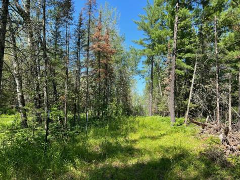 74035 County Highway A Iron River WI 54847