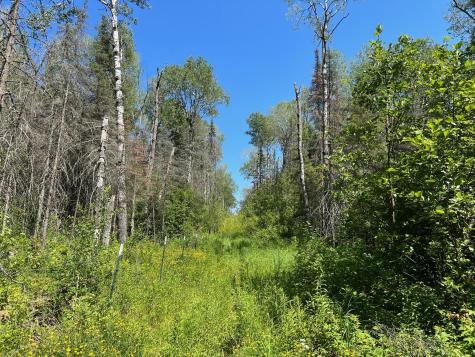 74035 County Highway A Iron River WI 54847