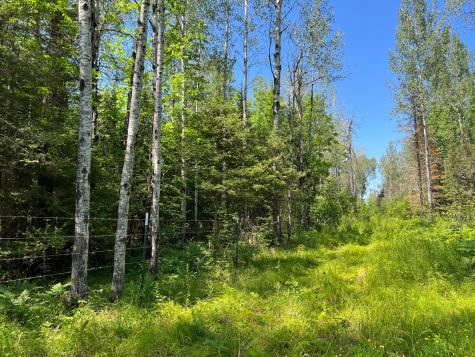74035 County Highway A Iron River WI 54847