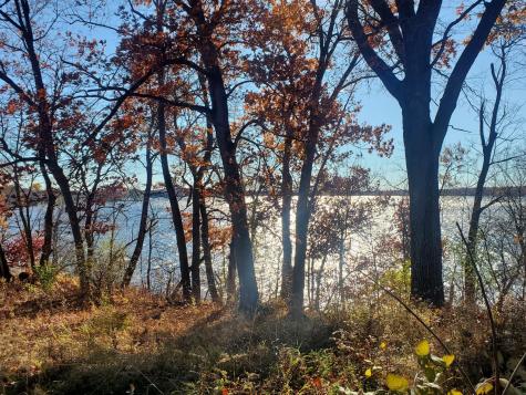 Lot 3 E Cedar Lake Court Star Prairie WI 54026
