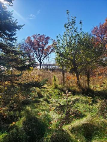 Lot 3 E Cedar Lake Court Star Prairie WI 54026