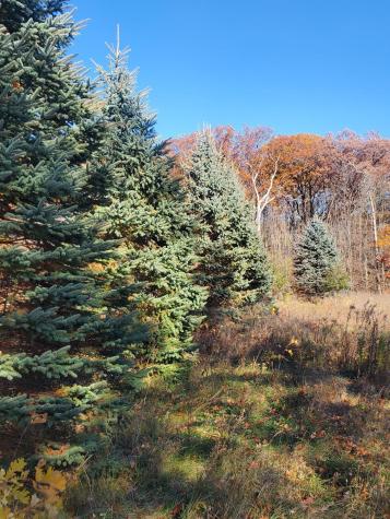 Lot 3 E Cedar Lake Court Star Prairie WI 54026