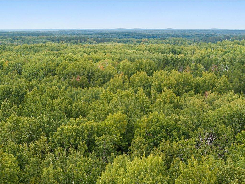 Lot I Sandbar Lane Merrifield MN 56465