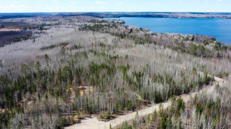 Tbd Parcel I Frazer Bay Road Cook MN 55723