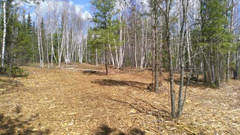 Tbd Parcel I Frazer Bay Road Cook MN 55723