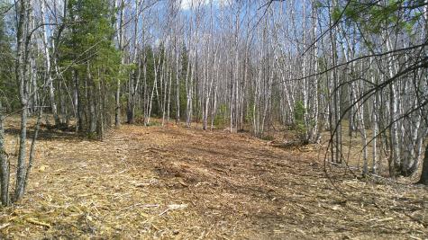Tbd Parcel I Frazer Bay Road Cook MN 55723