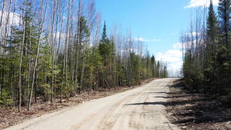 Tbd Parcel I Frazer Bay Road Cook MN 55723