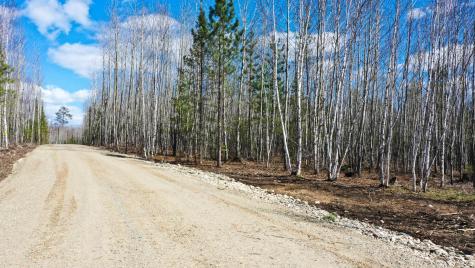 Tbd Parcel I Frazer Bay Road Cook MN 55723