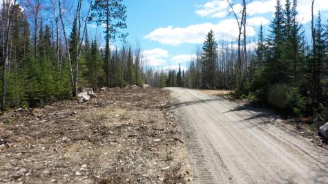 Tbd Parcel I Frazer Bay Road Cook MN 55723