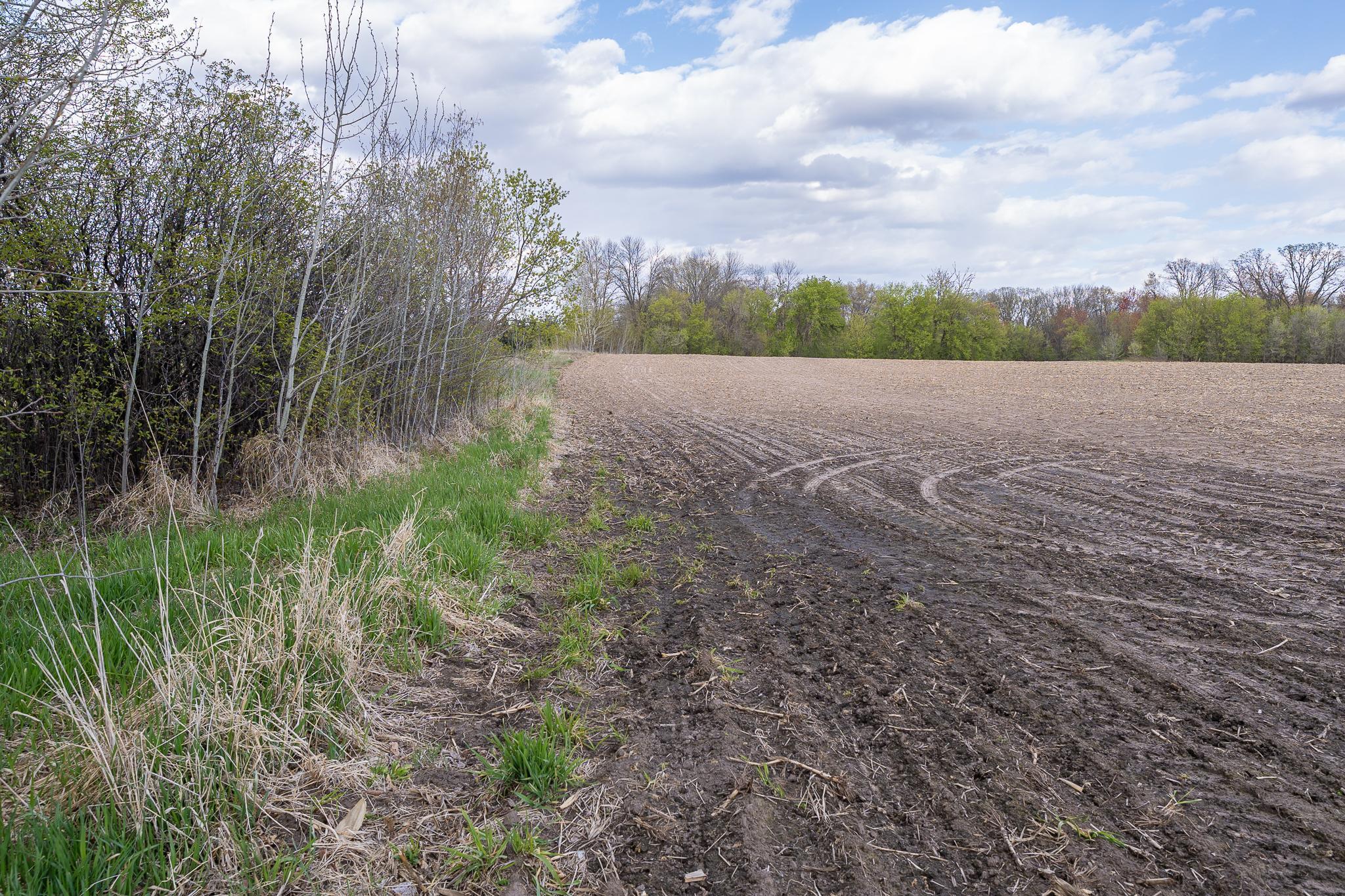 Parcel A - 20ac 465th Street Sunrise Twp MN 55032