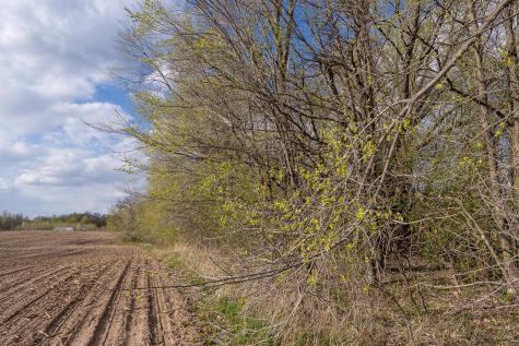 Parcel A - 20ac 465th Street Sunrise Twp MN 55032