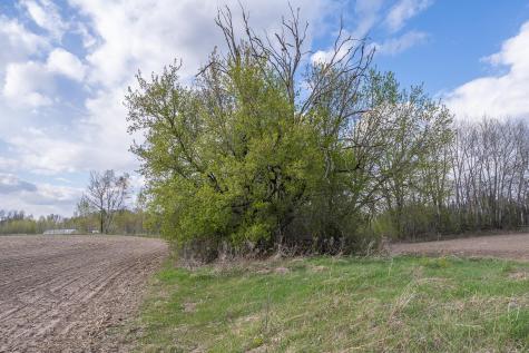 Parcel A - 20ac 465th Street Sunrise Twp MN 55032