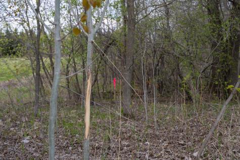 Parcel A - 20ac 465th Street Sunrise Twp MN 55032
