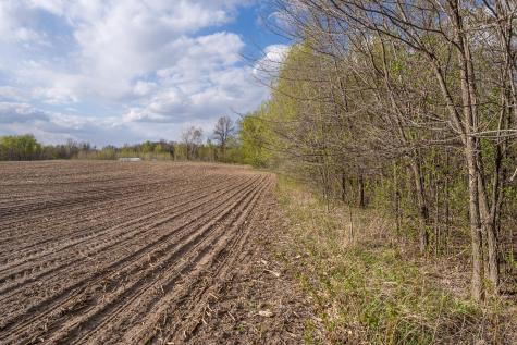 Parcel A - 20ac 465th Street Sunrise Twp MN 55032