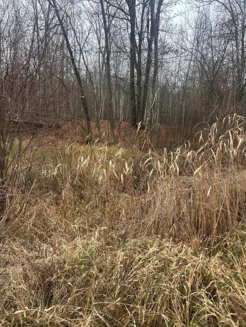 TBDxx Lake Camile Randall MN 56475