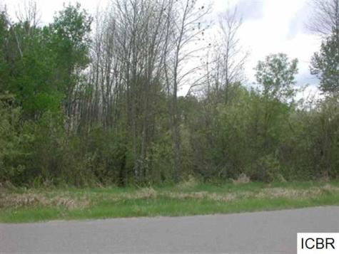 Lt 4 Blk 4 Aspen Drive Deer River MN 56636