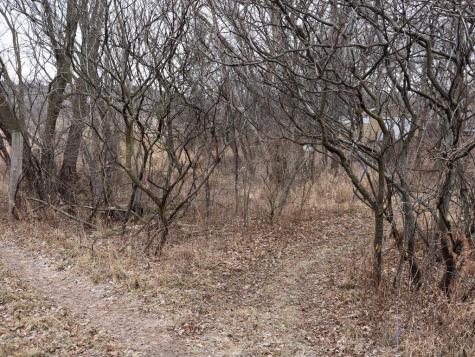 Xxx Scandia Trail N Forest Lake MN 55025