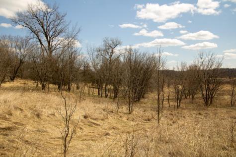 Xxx Scandia Trail N Forest Lake MN 55025