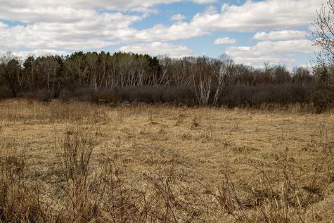 Xxx Scandia Trail N Forest Lake MN 55025