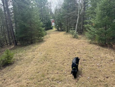 12240 Island Lake Drive Park Rapids MN 56470