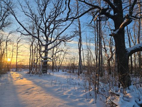 18987 N Hidden Acres Loop Pelican Rapids MN 56572