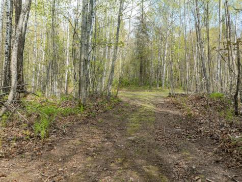 35020 E County Line Road Hill City MN 55748