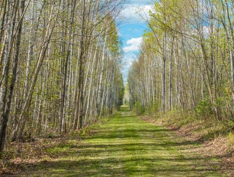 35020 E County Line Road Hill City MN 55748
