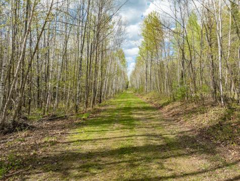 35020 E County Line Road Hill City MN 55748