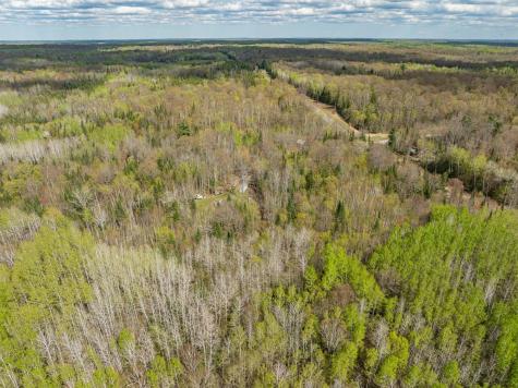 35020 E County Line Road Hill City MN 55748