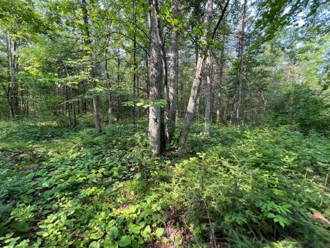 W8804 Timber Trail Ladysmith WI 54848
