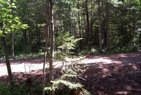 W8804 Timber Trail Ladysmith WI 54848