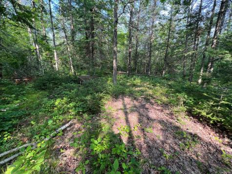 W8804 Timber Trail Ladysmith WI 54848