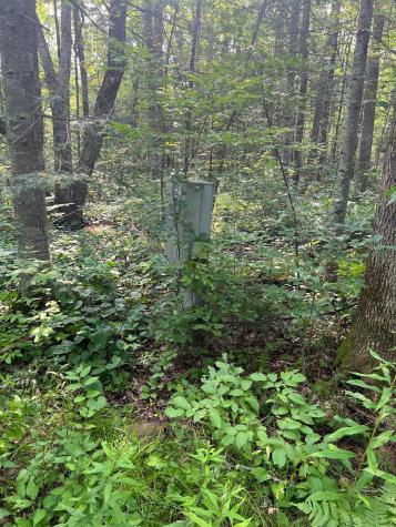 W8804 Timber Trail Ladysmith WI 54848