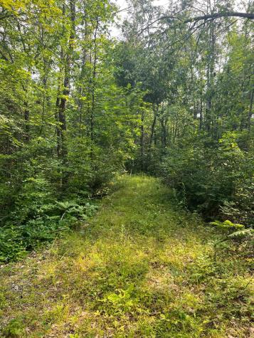 W8804 Timber Trail Ladysmith WI 54848
