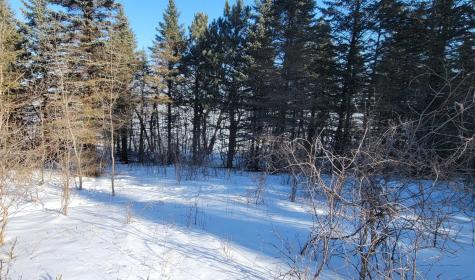 Tbd 10th Avenue Alexandria MN 56308