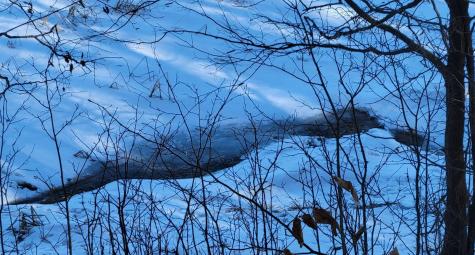 Tbd 10th Avenue Alexandria MN 56308