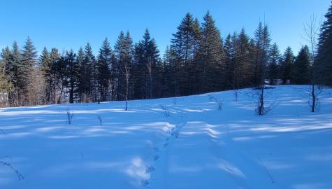 Tbd 10th Avenue Alexandria MN 56308