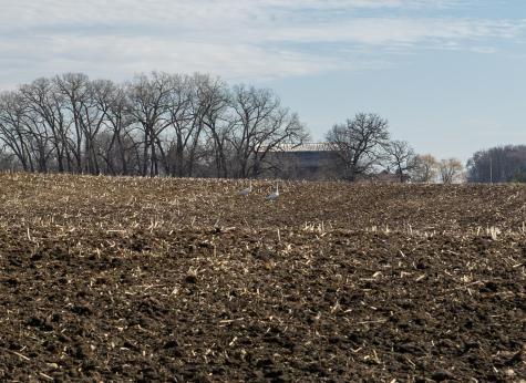 000 Mn-25 Mayer MN 55360
