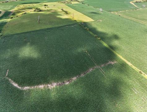 Tbd County Road 149 Hayfield MN 55940