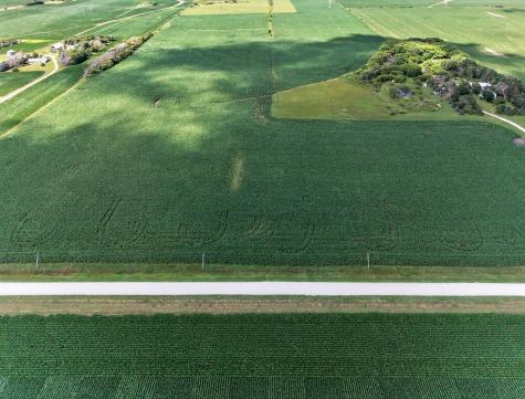 Tbd County Road 149 Hayfield MN 55940