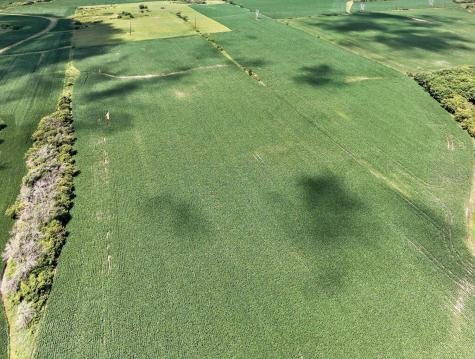 Tbd County Road 149 Hayfield MN 55940