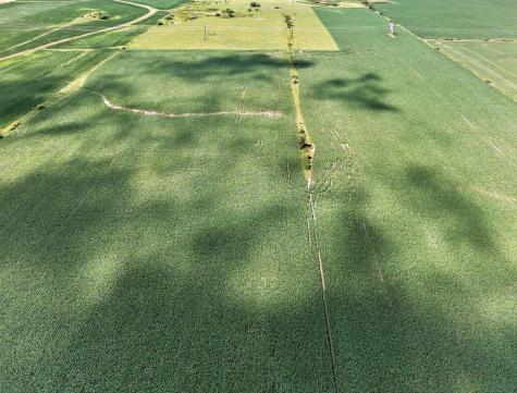 Tbd County Road 149 Hayfield MN 55940