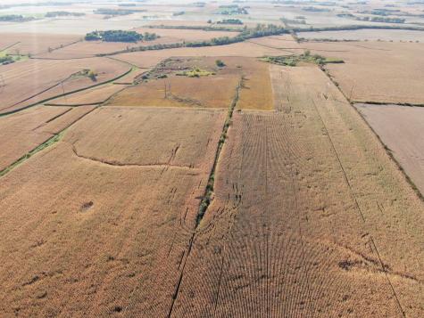 Tbd County Road 149 Hayfield MN 55940