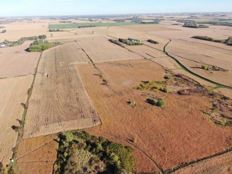 Tbd County Road 149 Hayfield MN 55940