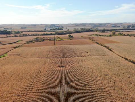 Tbd County Road 149 Hayfield MN 55940