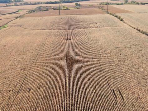 Tbd County Road 149 Hayfield MN 55940