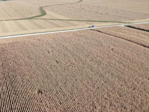 Tbd County Road 149 Hayfield MN 55940