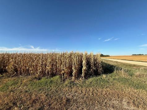 Tbd County Road 149 Hayfield MN 55940