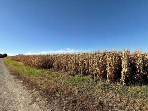 Tbd County Road 149 Hayfield MN 55940