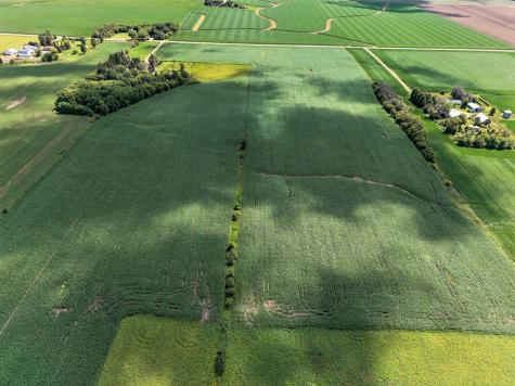 Tbd County Road 149 Hayfield MN 55940